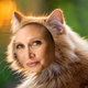 Illustration for article titled Cats That Look Like the Entire Cast of Star Wars